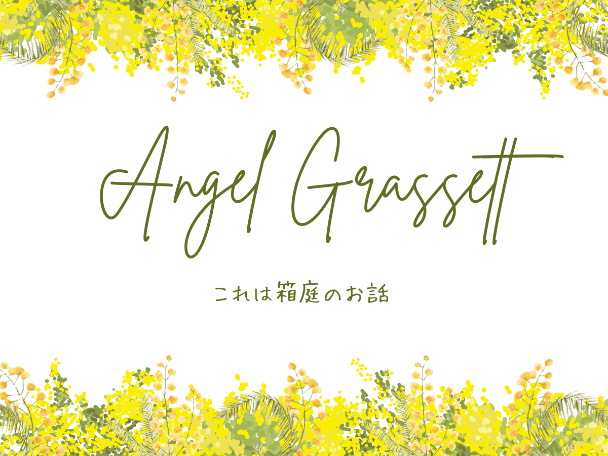 Angel Grassett
